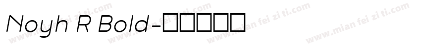 Noyh R Bold字体转换